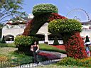 P1010110.JPG