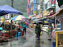 P1010290.JPG