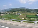 P9060205.JPG
